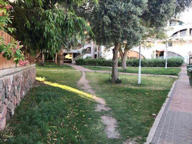 Coral Studio Vacation Apartment Ελάτ Εξωτερικό φωτογραφία